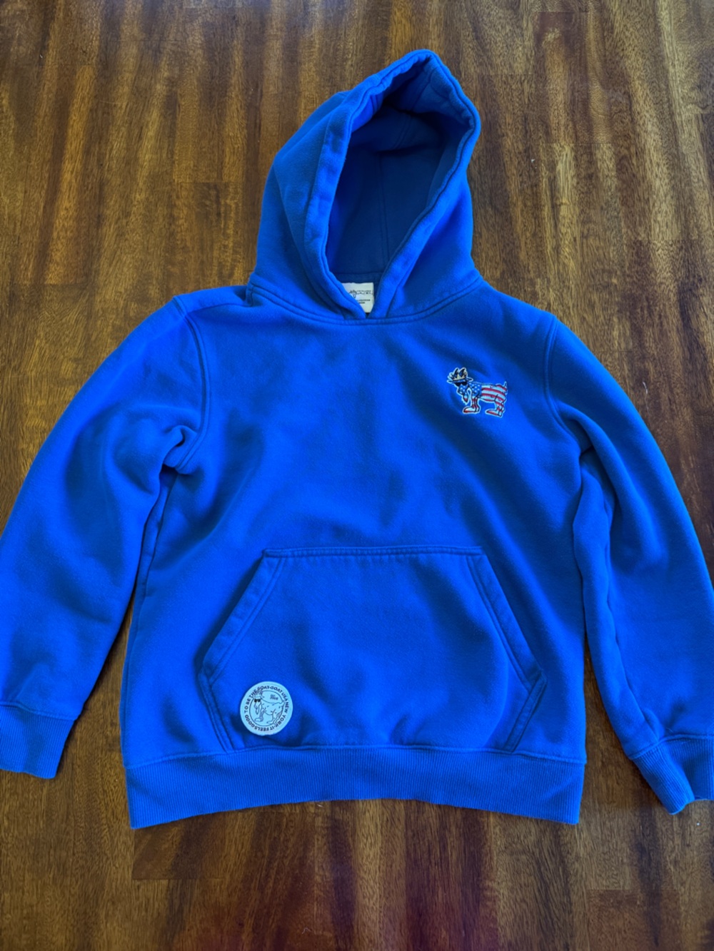 Kids Goat USA sweatshirt